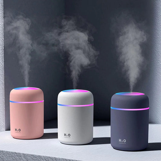 H2O Humidifier