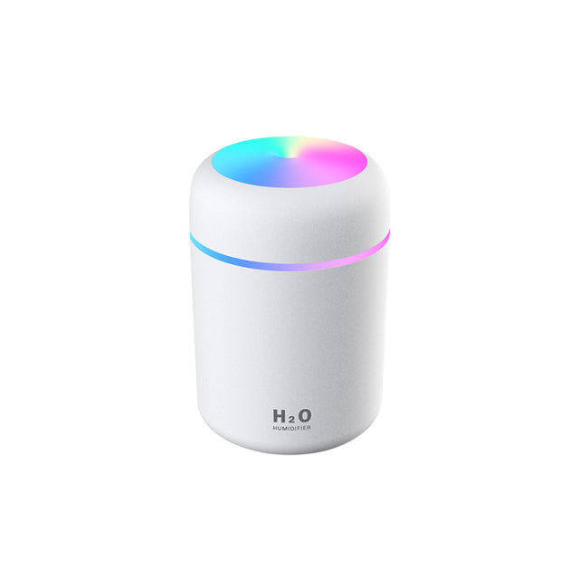 H2O Humidifier